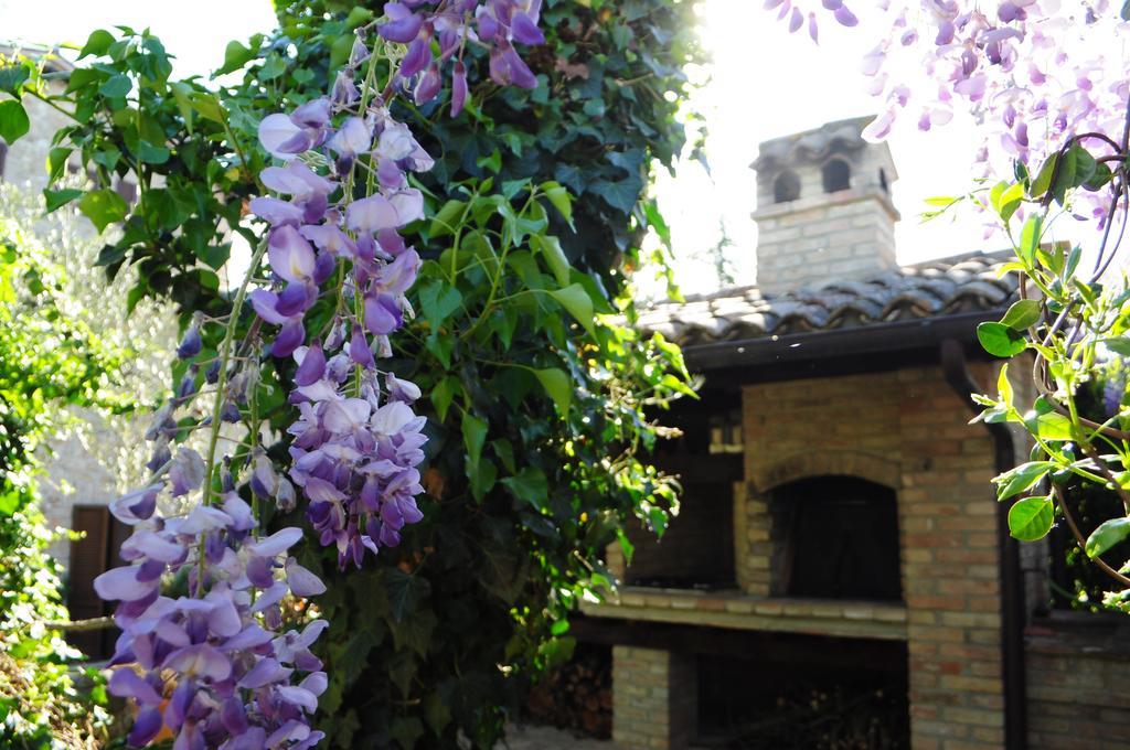 Apartment Casale Dolci Dimore